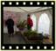 Troc aux plantes 